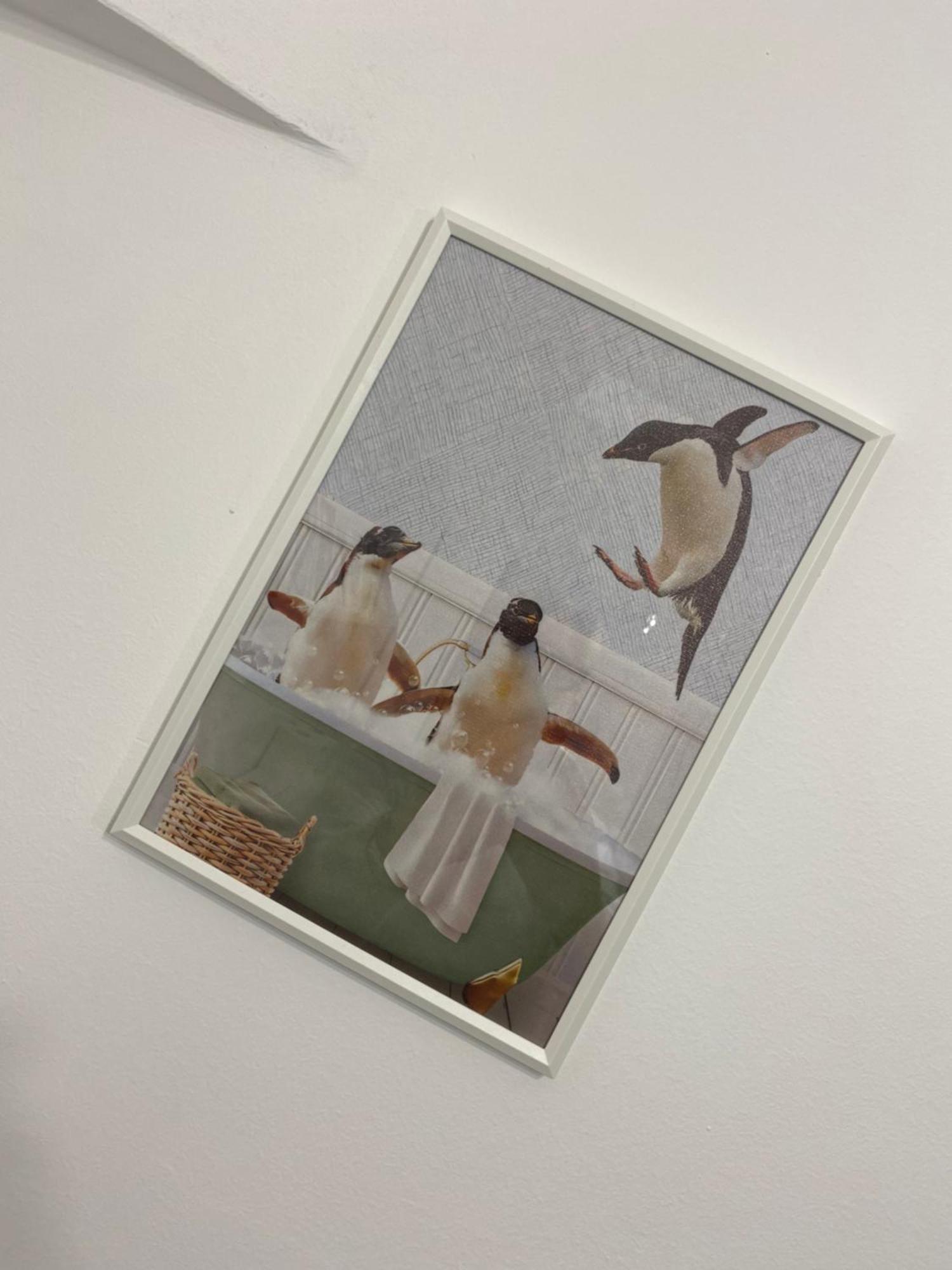 Acquario Genova La Piazzetta Apartment Bagian luar foto
